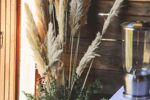 470626152_1121560029373775_2546373149449699678_n